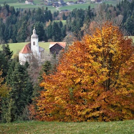 Апартаменты Ferien In Feld 109 Langenegg Экстерьер фото