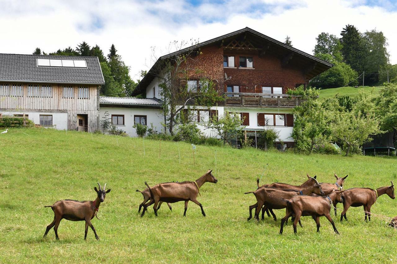 Апартаменты Ferien In Feld 109 Langenegg Экстерьер фото